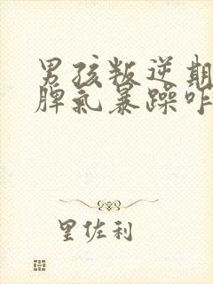男孩叛逆期严重脾气暴躁咋办