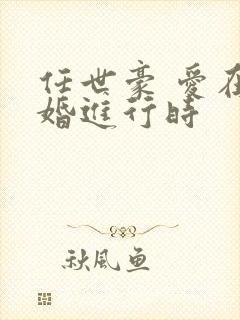 任世豪 爱在离婚进行时