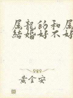 属龙的和属猴的结婚好不好