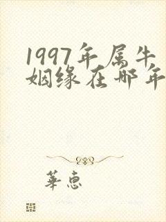 1997年属牛姻缘在哪年男生