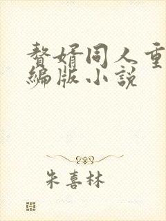 赘婿同人重口改编版小说