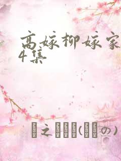 高嫁柳嫁家1至4集