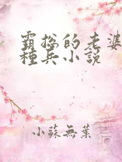 霸总的老婆是特种兵小说