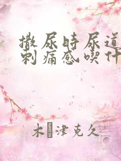 撒尿时尿道口有刺痛感吃什么药