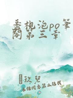番枧泡po笔趣阁第三章