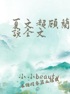 夏文超顾兰兰小说全文