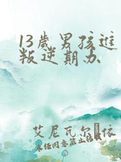 13岁男孩进入叛逆期办