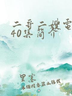 二哥二嫂电视剧40集简介