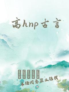 高hnp古言