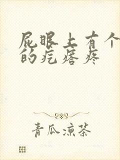 屁眼上有个硬硬的疙瘩疼