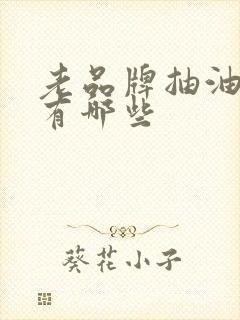 老品牌抽油烟机有哪些
