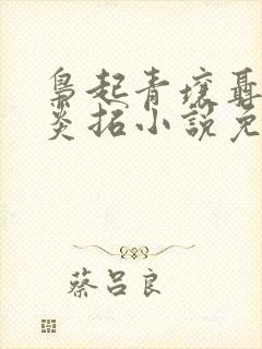 枭起青壤聂九罗炎拓小说免费阅读全文