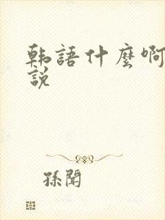 韩语什么啊怎么说
