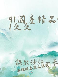 91国产精品91久久