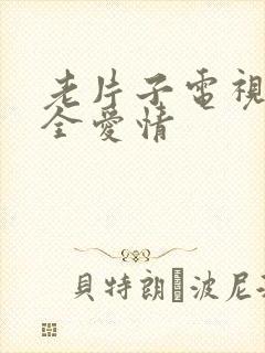 老片子电视剧大全爱情