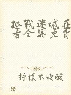 孤战迷城在线观看全集免费高清