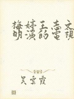 梅婷王志文陈道明演的电视剧叫什么名字