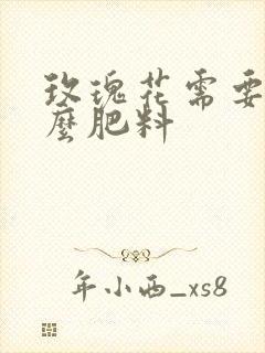玫瑰花需要施什么肥料