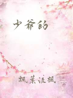 少爷的