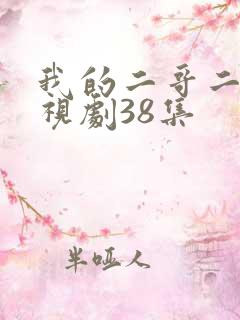 我的二哥二嫂电视剧38集