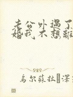 老公外遇了要离婚我不想离婚怎么办