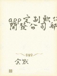 app定制软件开发公司哪家好