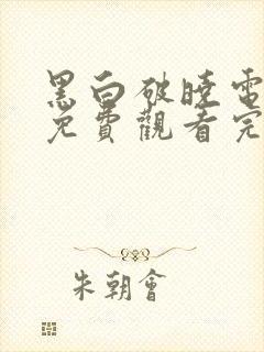 黑白破晓电视剧免费观看完整版高清