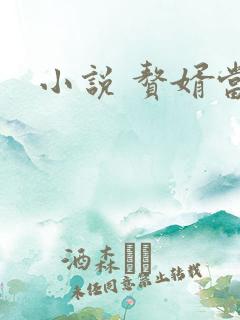 小说 赘婿当道