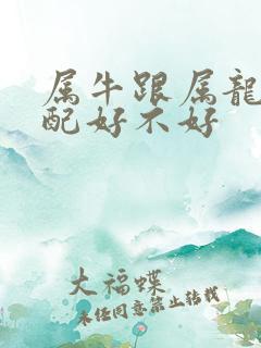 属牛跟属龙的婚配好不好
