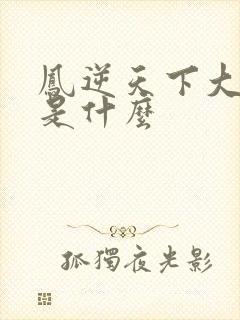 凤逆天下大结局是什么