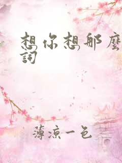 想你想那么久歌词