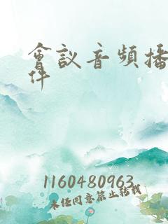 会议音频播放软件