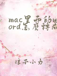 mac里面的word怎么转成pdf