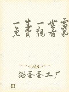 一生一世电视剧免费观看第9集
