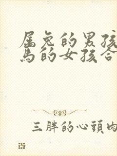 属兔的男孩和属马的女孩合不合