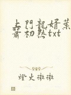 上门龙婿叶辰,萧初然txt