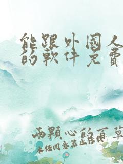 能跟外国人聊天的软件免费