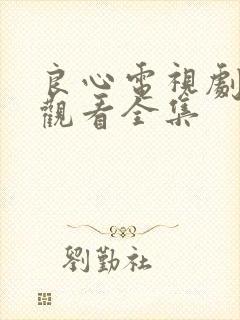 良心电视剧免费观看全集