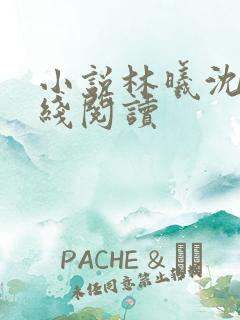 小说林曦沈决在线阅读