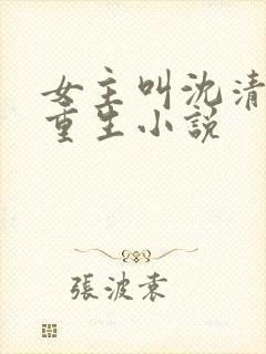 女主叫沈清梨的重生小说