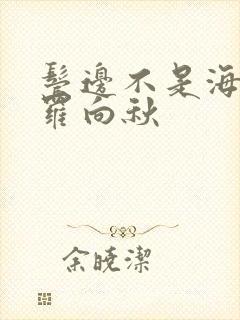 鬓边不是海棠红罗向秋