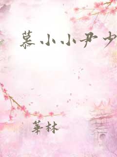慕小小尹少桀
