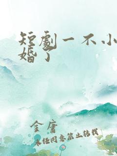 短剧一不小心闪婚了