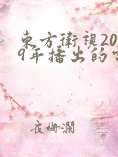 东方卫视2009年播出的电视剧