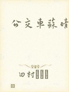 公交车苏晴小说