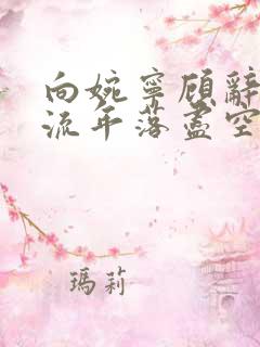 向婉宁顾辞小说流年落尽空白首