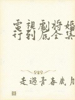 电视剧将婚姻进行到底全集免费观看