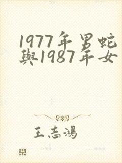 1977年男蛇与1987年女兔婚配