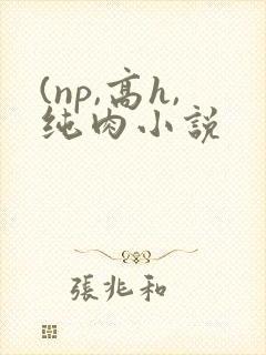 (np,高h,纯肉小说
