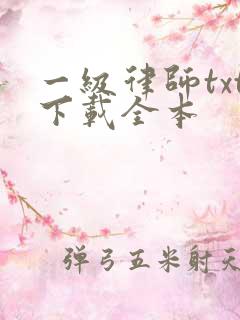 一级律师txt下载全本